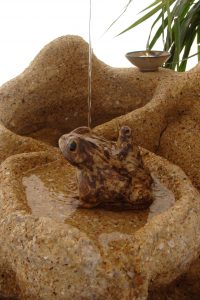 Ceramic frog in The Wave