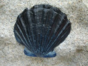 Scallop Sea Weight