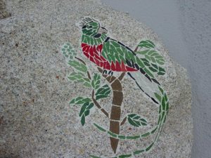Quetzal based on image by Neil Waldman